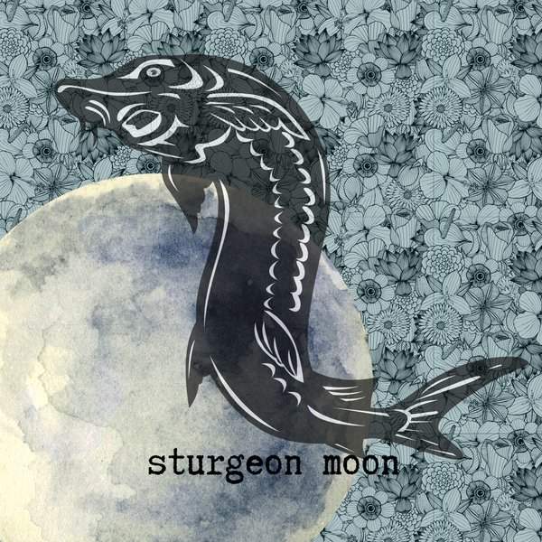 8"x8" Fine Art Print/Sturgeon Moon (shipping price included)