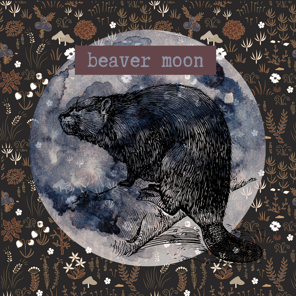 8"x8" Fine Art Print/Beaver Moon (shipping price included)