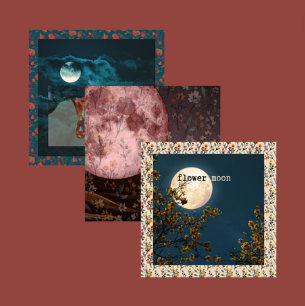 luxe Spring Moons stickers SET OF 3 (shipping price included)