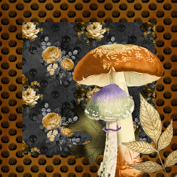 8"x8" Fine Art Print/Mushroom (shipping price included)