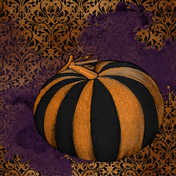 8"x8" Fine Art Print/Pumpkin (shipping price included)